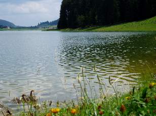 Le lac des Taillres