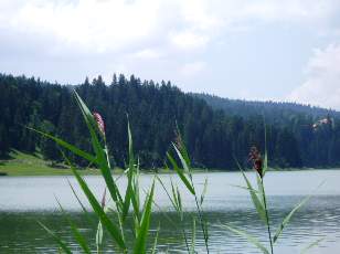 Le lac des Taillres