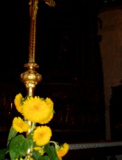 Beaucoup de fleurs dans l'glise Saint Saturnin  Pouzac